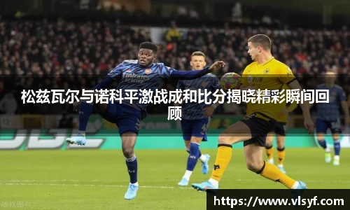 松兹瓦尔与诺科平激战成和比分揭晓精彩瞬间回顾